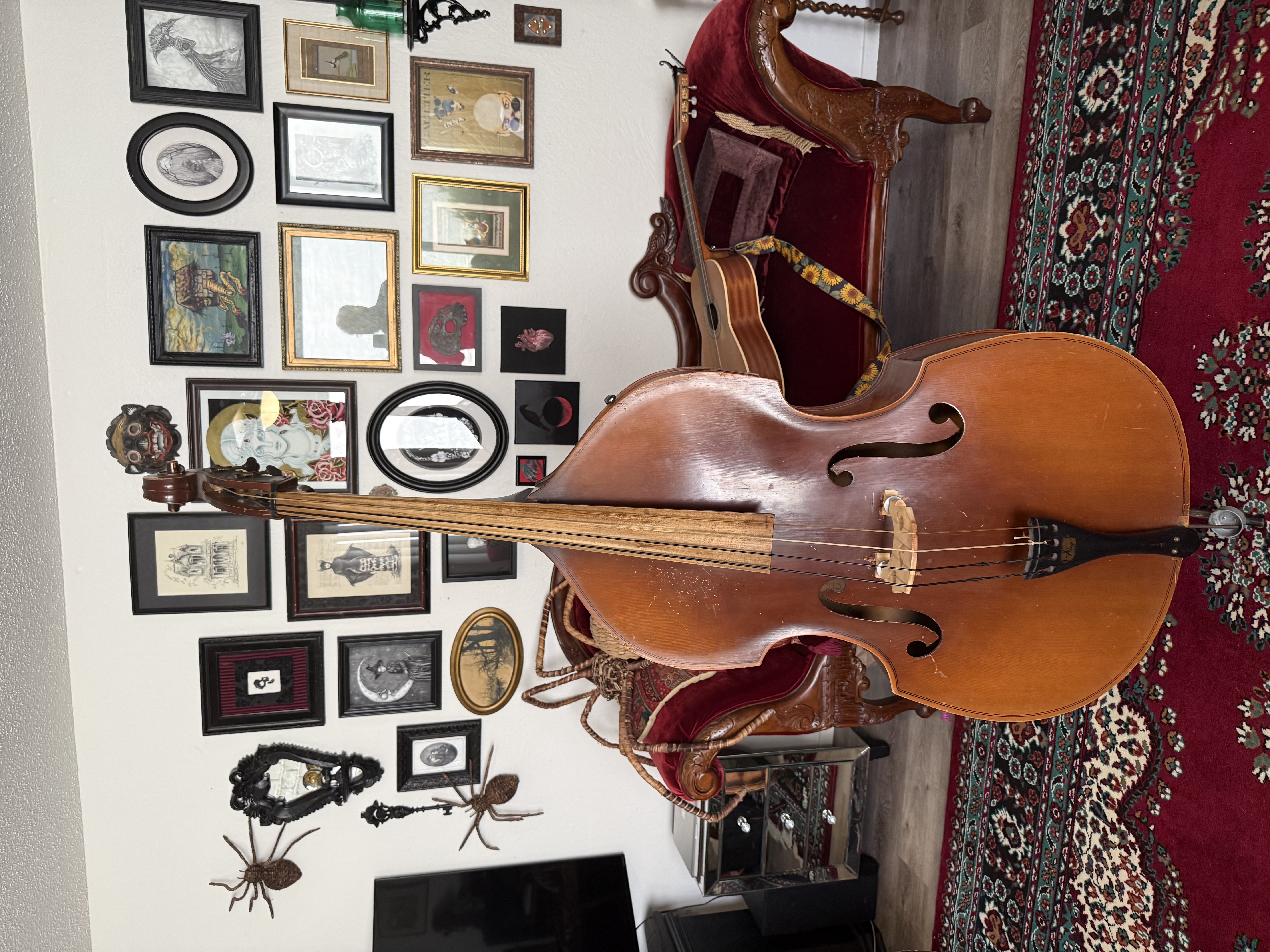 Bass for sale